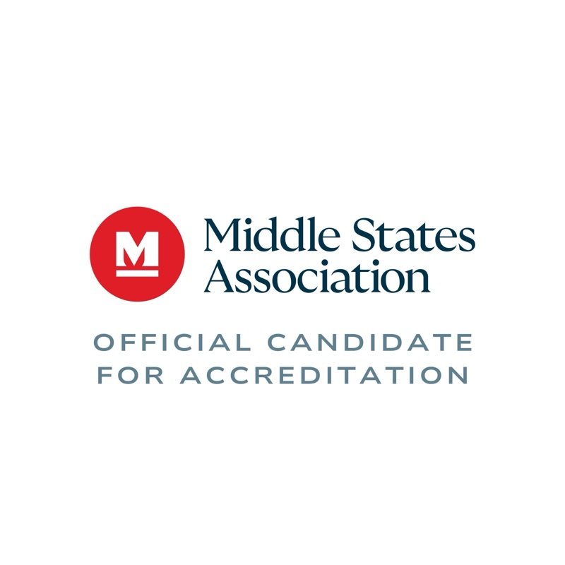 MSA